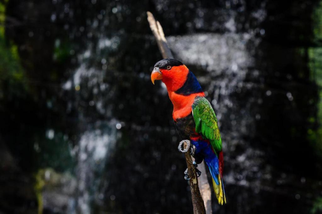 Al Abror Homestay Mandala Krida Mitra Reddoorz Yogyakarta Kültér fotó